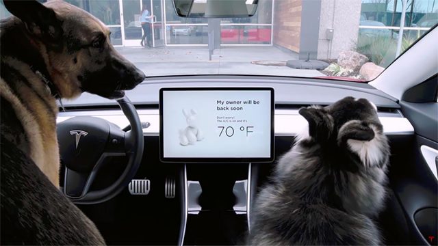 Modo Perro en Tesla